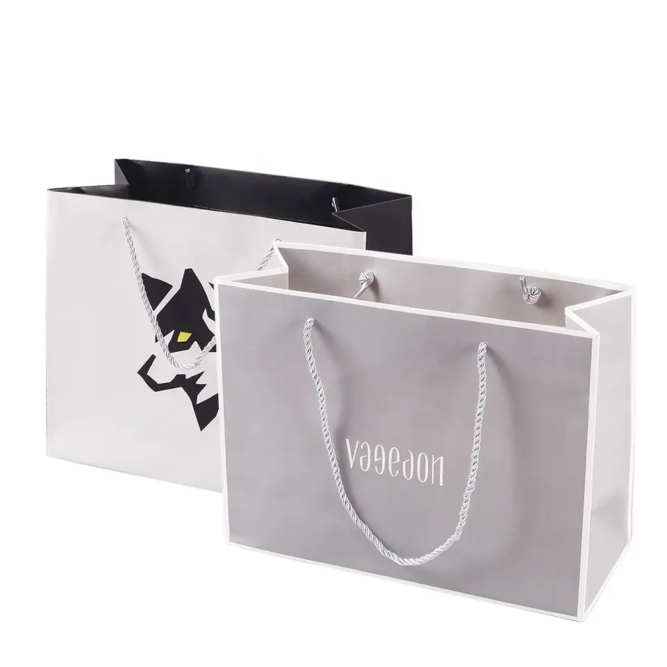 Gift/Shopping/Own Brand Paper Bags