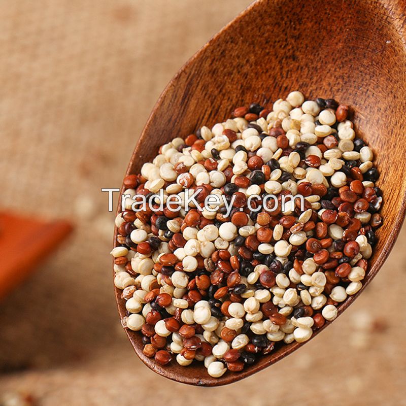 Selling Origin direct high-quality mixed three-color quinoa
