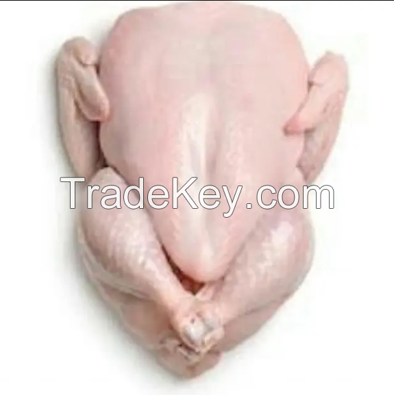 High Quality Chicken in cheap price 