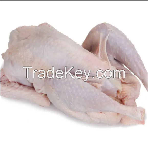 High Quality Chicken in cheap price 