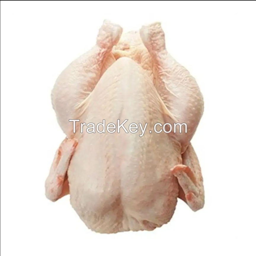 High Quality Chicken in cheap price 