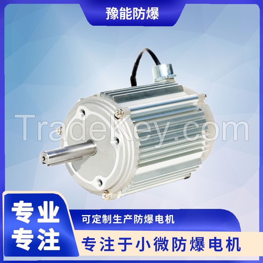 Brushless direct current motor