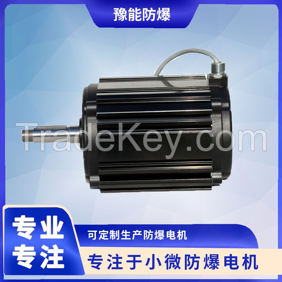 Special motor for direct current brushless permanent magnet fan