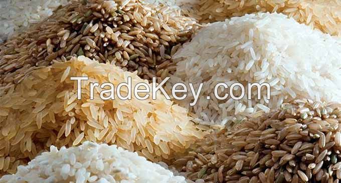 Rice