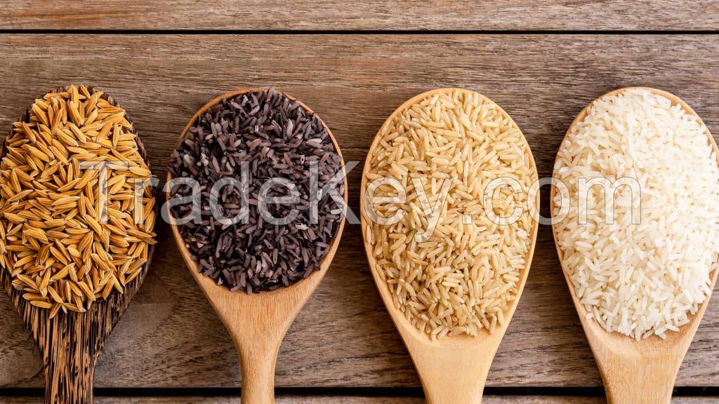 Rice