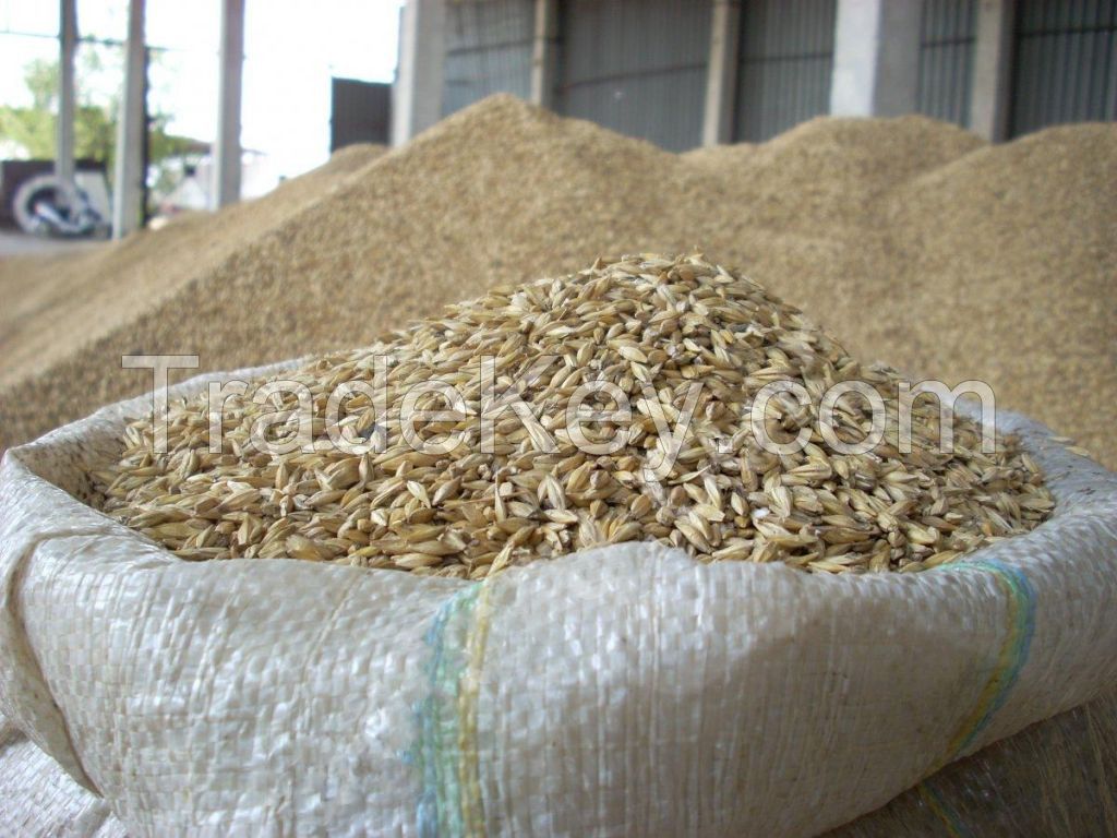 Food Wheat