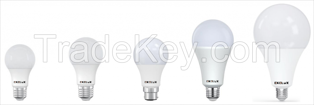 LED BULBS