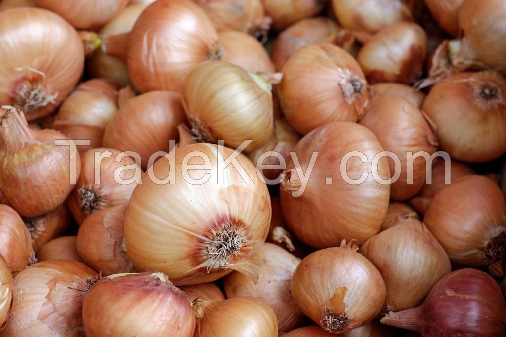 Gourmet Gold Onions - The Flavorful Delight