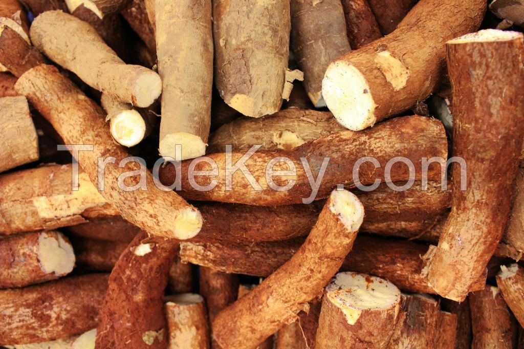 Harvest's Pride Cassava - Farm Fresh Excellence
