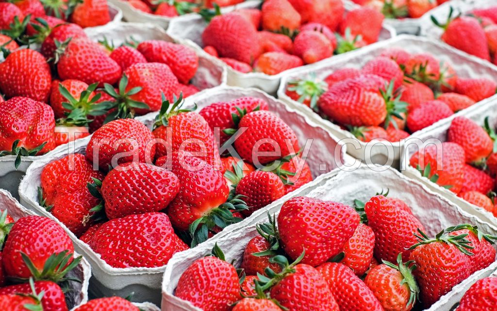 Sweet Harvest Strawberries - Nature's Delight
