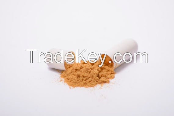 Shiitake mushroom extract in powder (50%polysaccharides)