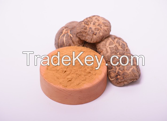 Shiitake mushroom extract in powder (50%polysaccharides)