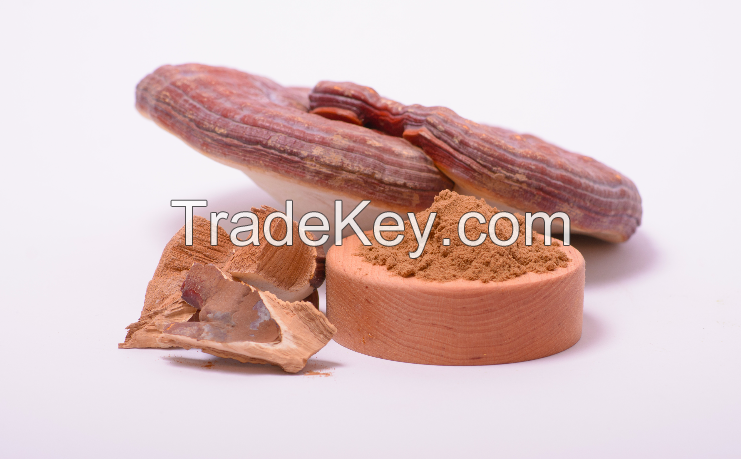 Reishi Mushroom Extract In Powder (50%polysaccharides)