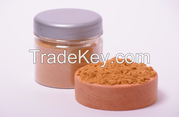 Turkey tail mushroom extract in powder (50%polysaccharides)