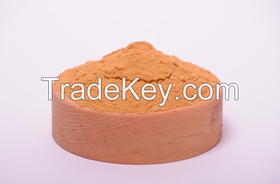 Agaricus blazei  mushroom extract in powder (50%polysaccharides)