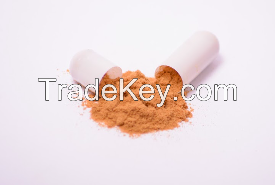 Turkey tail mushroom extract in powder (50%polysaccharides)