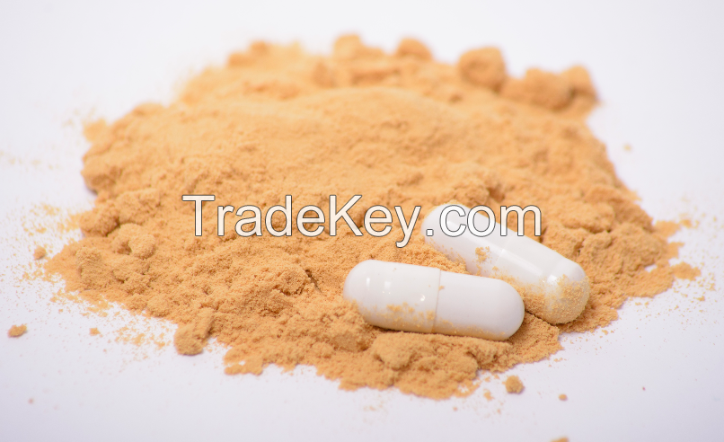 Lion's Mane extract in powder (50%polysaccharides)