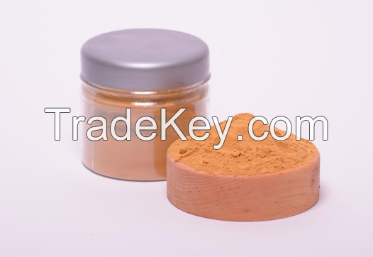 Agaricus Blazei  Mushroom Extract In Powder (50%polysaccharides)