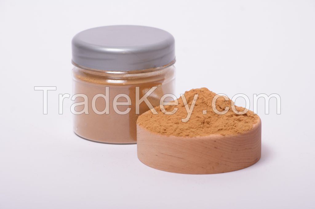 Cordyceps mushroom extract in powder (50%polysaccharides)
