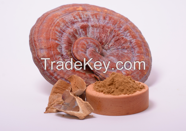 Reishi Mushroom Extract In Powder (50%polysaccharides)