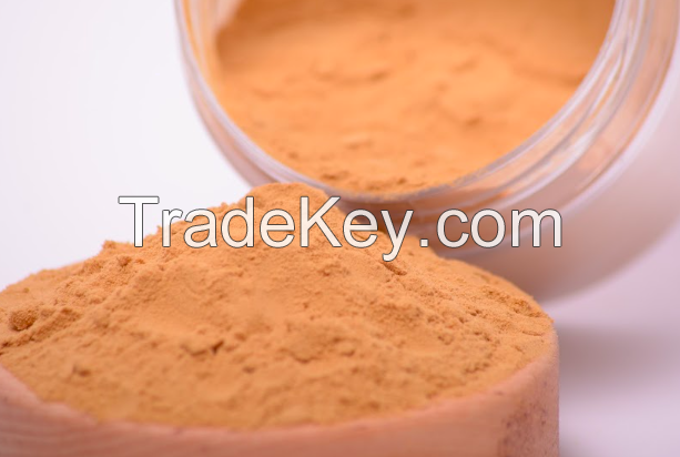 Agaricus Blazei  Mushroom Extract In Powder (50%polysaccharides)