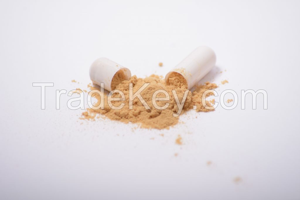 Lion's Mane Extract In Powder (50%polysaccharides)