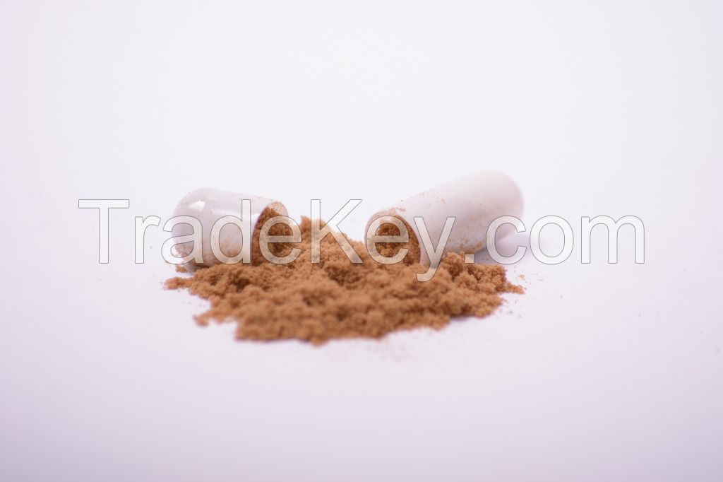 Reishi mushroom extract in powder (50%polysaccharides)
