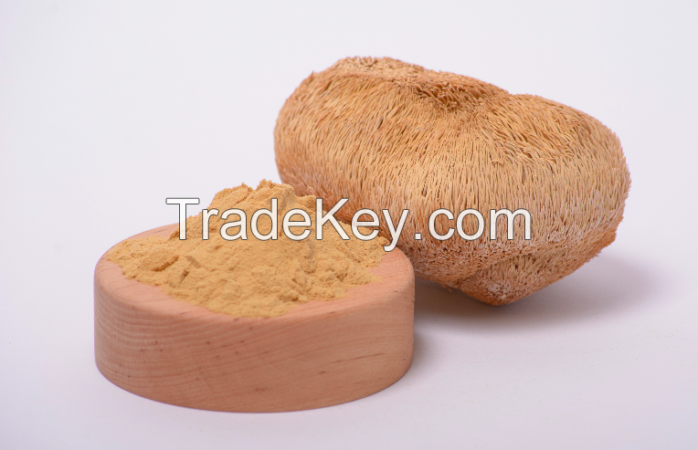 Lion's Mane Extract In Powder (50%polysaccharides)