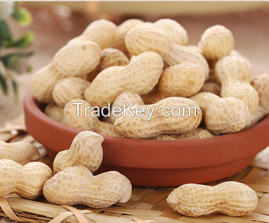 Roasted peanuts garlic flavor factory supply