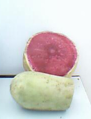RED RADISH COLOR