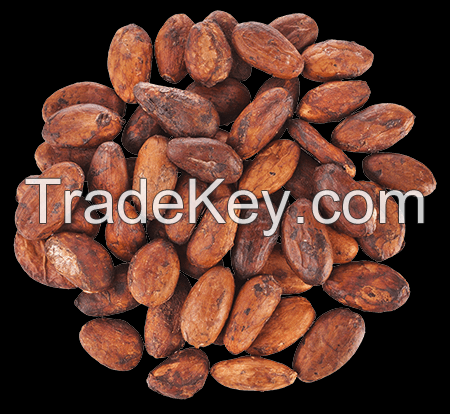 Balinese Cocoa Beans