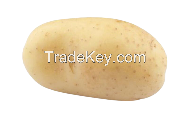 Potato Product-line