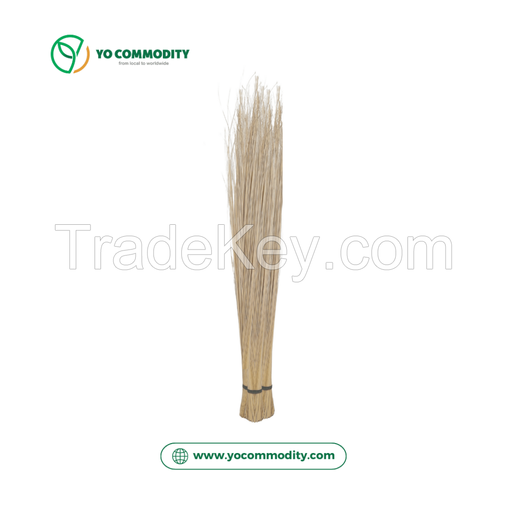 Nipa Broomstick