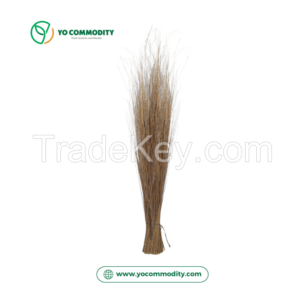 Coconut Broomstick