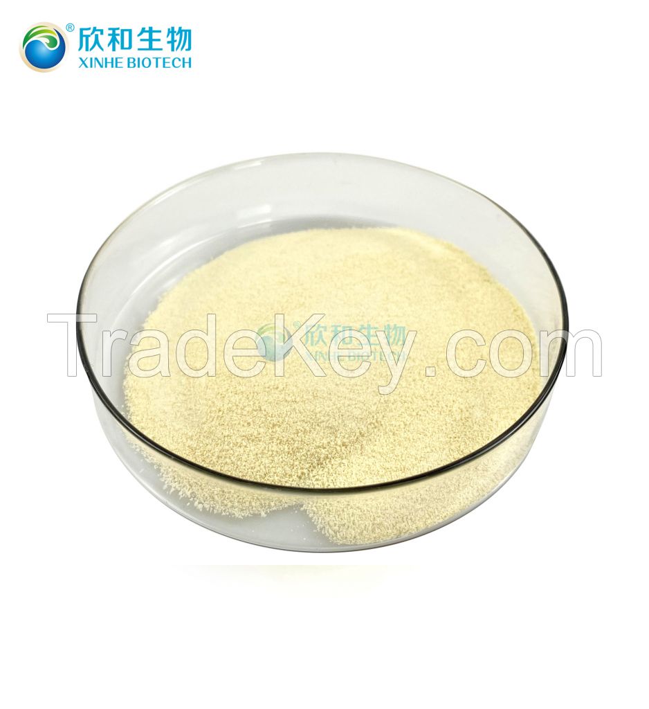 DHA Algal Oil Powder