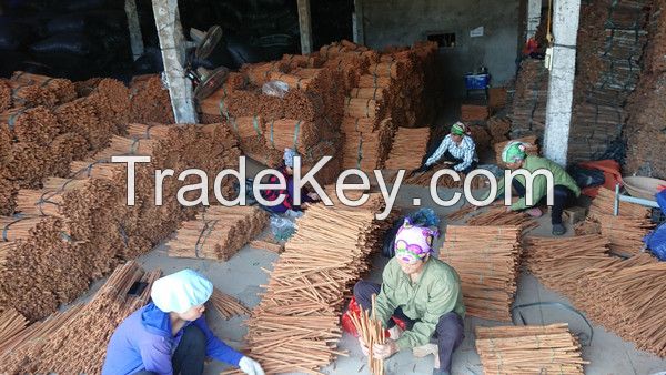 Wholesales high quality Vietnamese herb