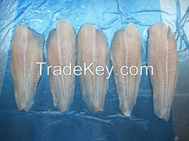 Pangasius Fillet