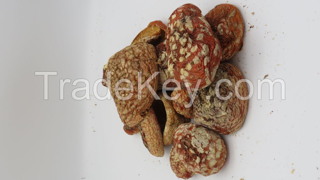 Amanita muscaria dried caps (mushroom)