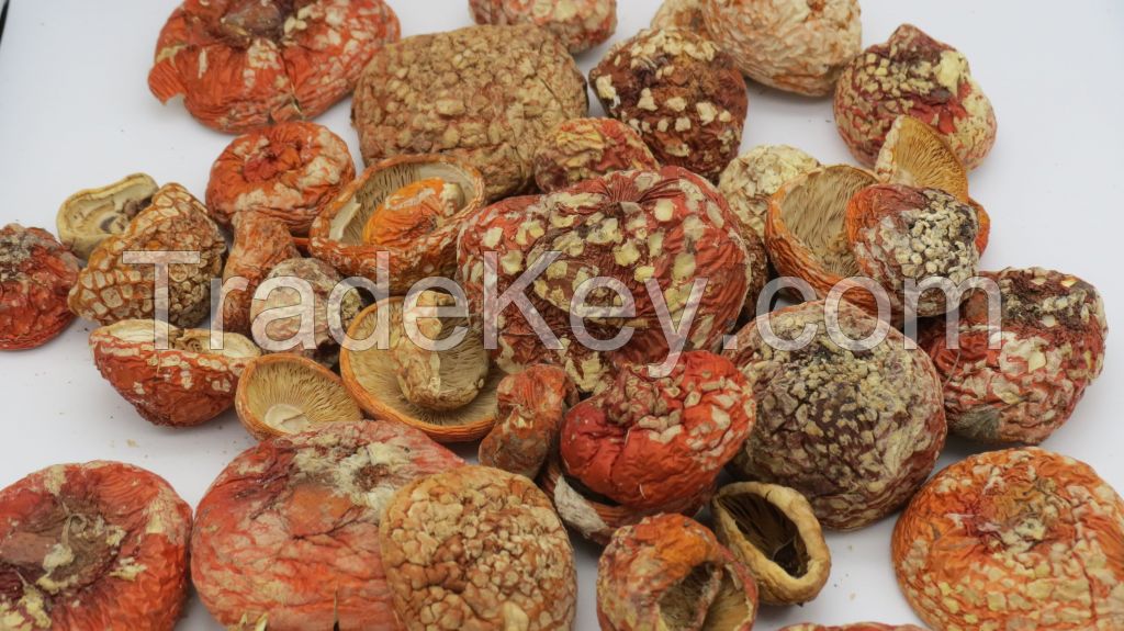 Amanita Muscaria Dried Caps (mushroom)