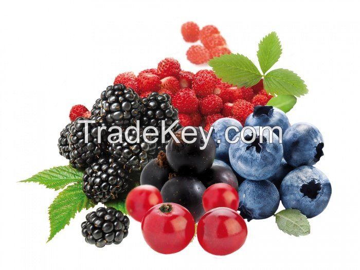 Dried Lyophilized Wild Berries (Blueberries Cranberries Cloudberries Schisandra chinensis Sea buckthorn Blackberry Wild strawberry)