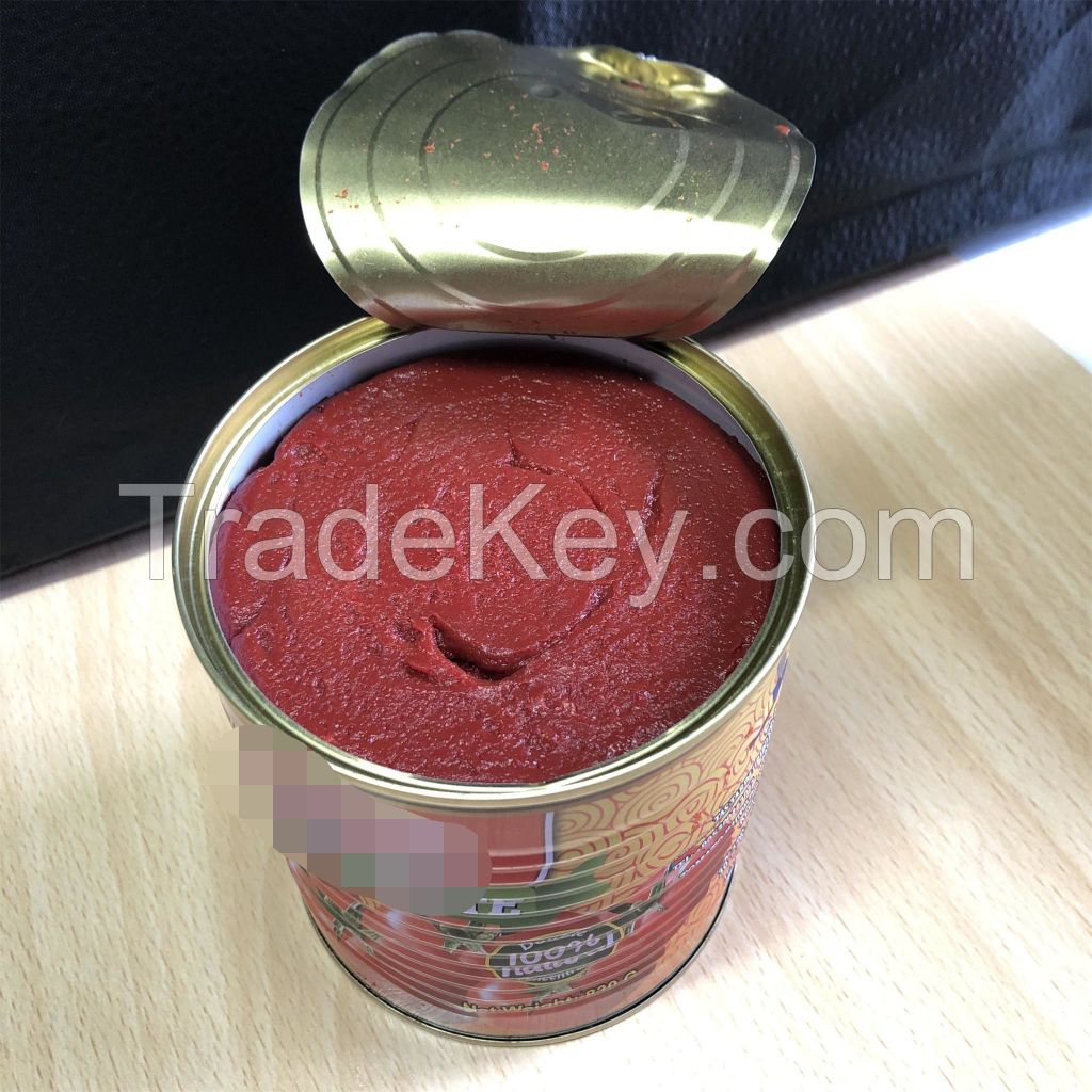 Canned Tomato Paste