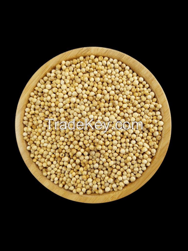 Coriander Seed