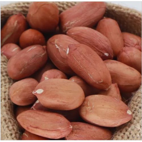 High Oleic Groundnut Indian Peanut kernels