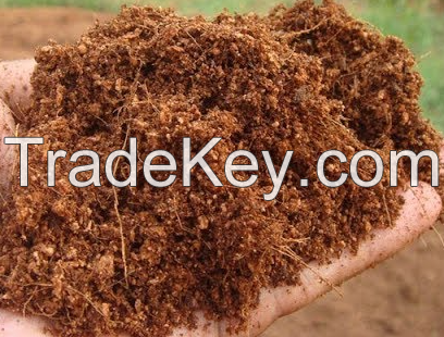 Cocopeat 