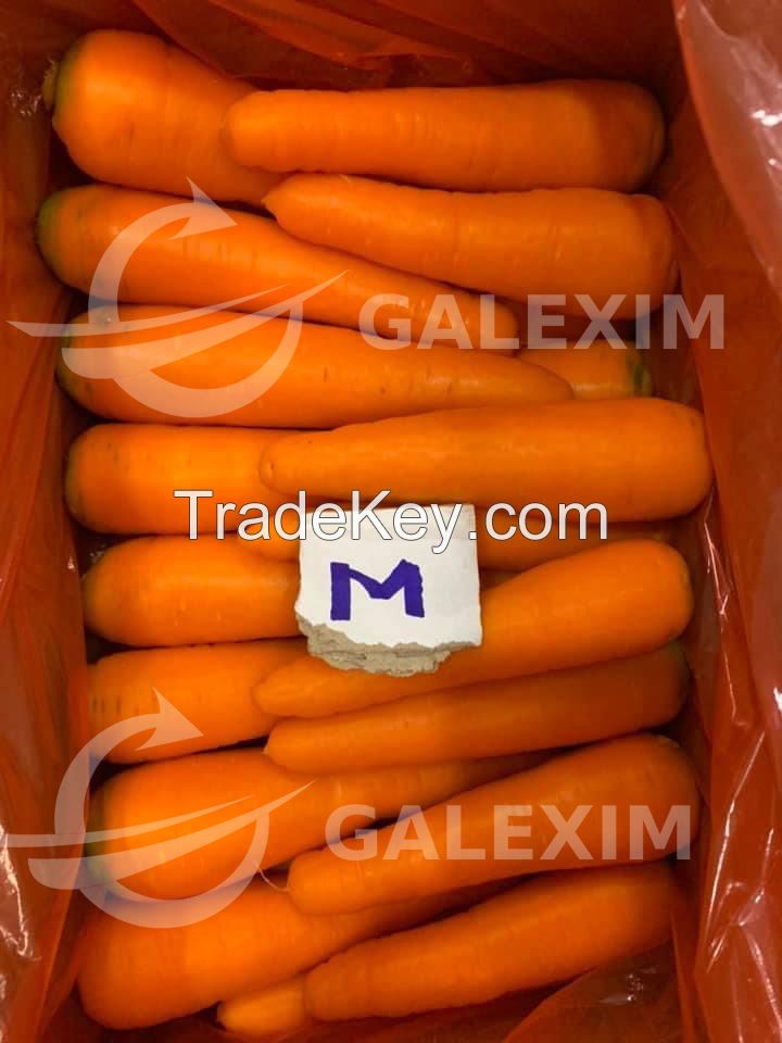 Vietnamese Fresh Carrots