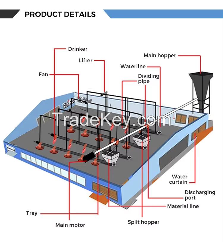 The most popular chicken farming equipment in the Middle East, quality guaranteed.