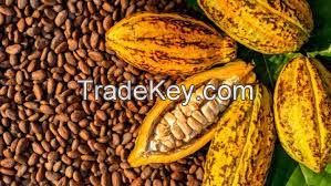 COFFEE AND COCOA AGRICULTURAL COOPERATIVE.