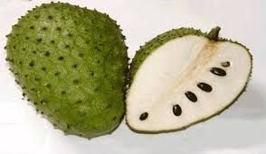 Sour sop concentrated pulp in 25 kg packs