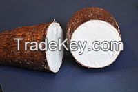 Cassava