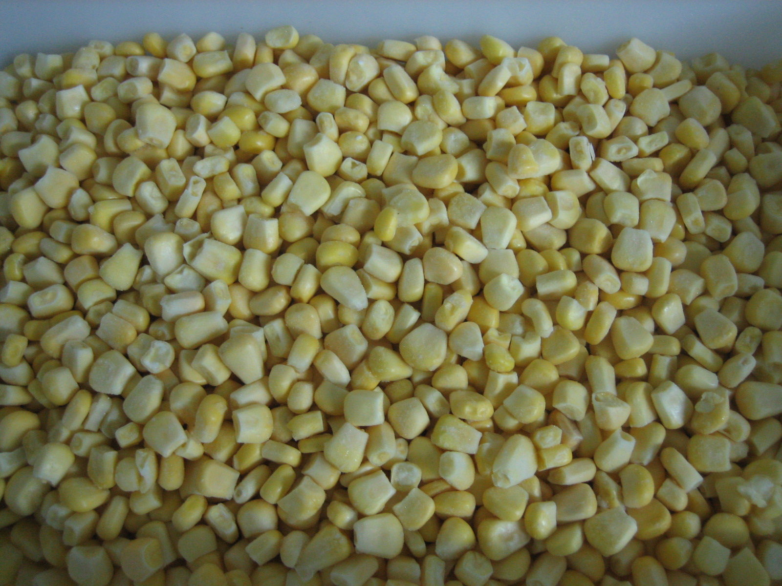 selling IQF sweet corn kernels
